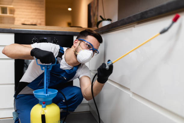 Best Emergency Pest Control  in Millersburg, OH