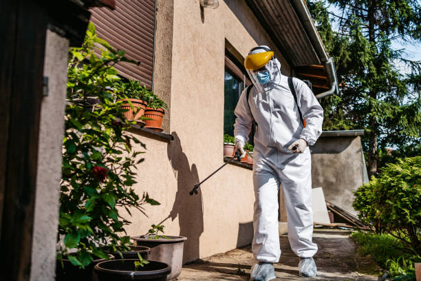 Trusted Millersburg, OH Pest Control Experts
