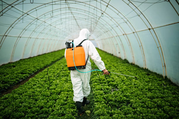Best Pest Prevention Services  in Millersburg, OH