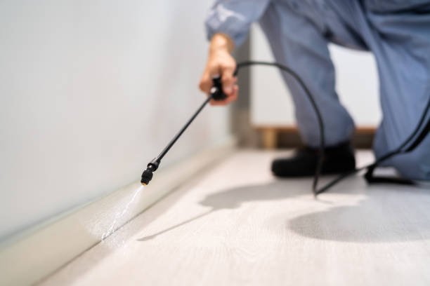 Best Wasp Removal Services  in Millersburg, OH
