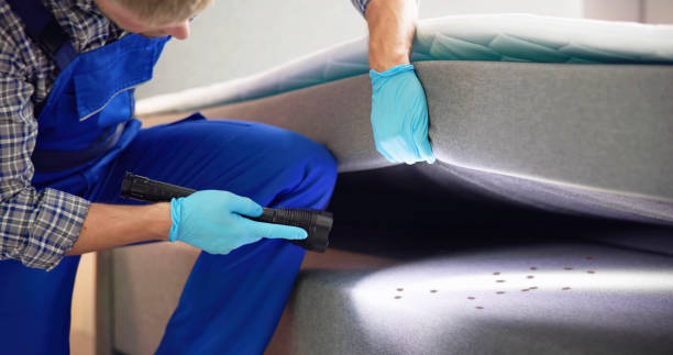 Best Flea Control Services  in Millersburg, OH