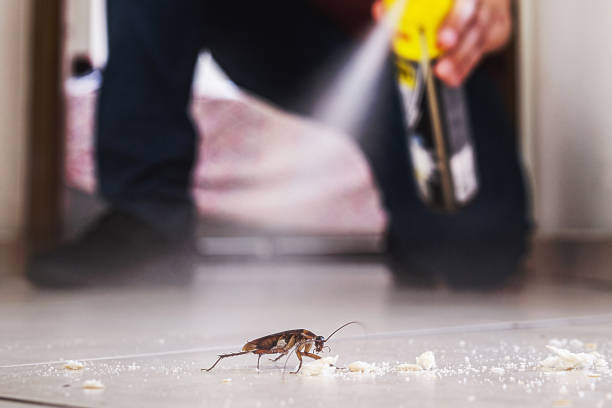 Best Affordable Pest Control Services  in Millersburg, OH