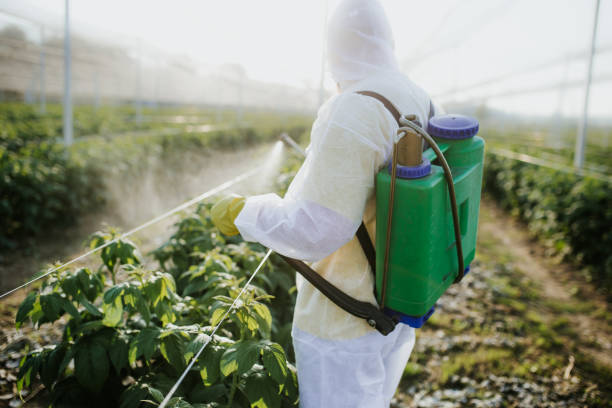 Best Best Pest Control Companies  in Millersburg, OH